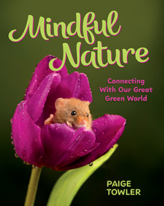 Cover Art for Mindful Nature: Connecting with Our Great Green World