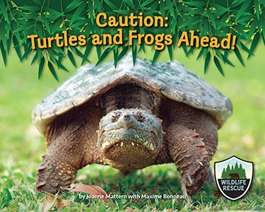 Cover Art for Caution: Turtles and Frogs Ahead!