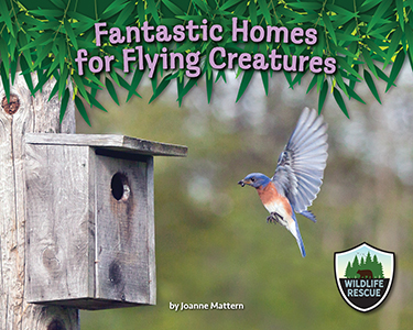 Cover Art for Fantastic Homes for Flying Creatures