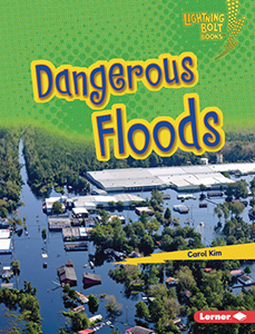 Cover Art for Dangerous Floods