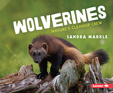 Cover Art for Wolverines: Nature's Cleanup Crew