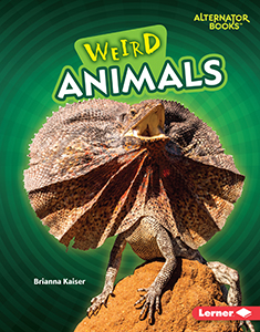 Cover Art for Weird Animals