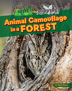Cover Art for Animal Camouflage in a Forest