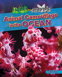 Cover Art for Animal Camouflage in the Ocean