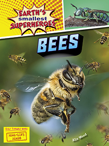 Cover Art for Bees