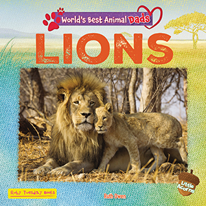 Cover Art for Lions