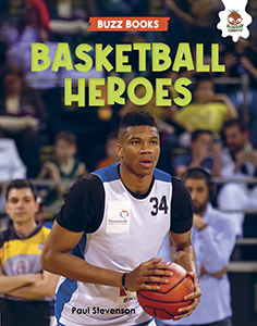 Cover Art for Basketball Heroes