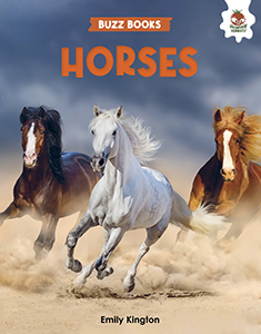 Cover Art for Horses