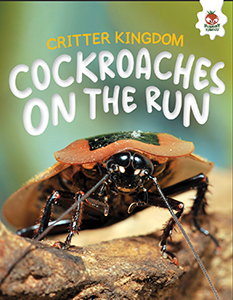 Cover Art for Cockroaches on the Run
