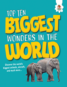 Cover Art for The Biggest Wonders in the World