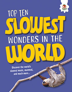 Cover Art for The Slowest Wonders in the World