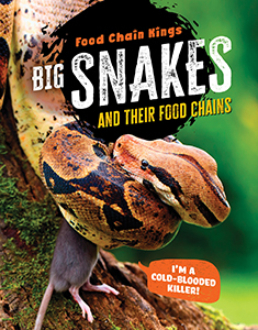 Cover Art for Big Snakes and their food chains