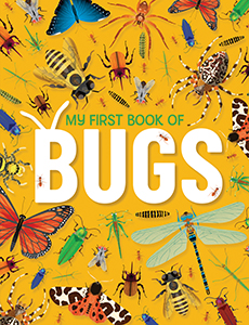 Cover Art for My First Book of Bugs