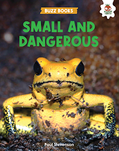 Cover Art for Small and Dangerous