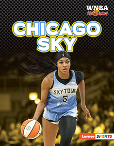 Cover Art for Chicago Sky