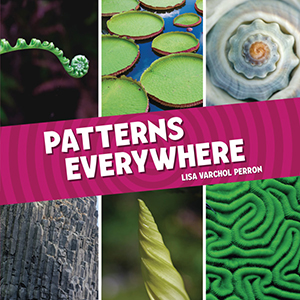 Cover Art for Patterns Everywhere